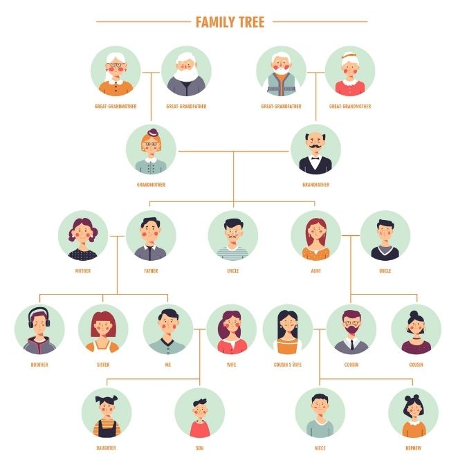 Organize Your Genealogy! - Are You My Cousin?