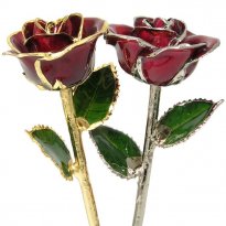 January Birthday Gift: Garnet Preserved Rose