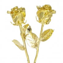 His and Her 11" Real Roses Dipped in 24k Gold