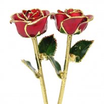 24k Gold Trimmed His and Her Roses: 11"