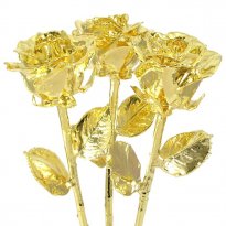3 Real 17" Past, Present, Future Roses Dipped in Gold