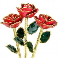 3 Past, Present, Future 11" 24k Gold Trimmed Roses