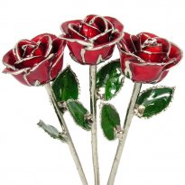 3 Past, Present, Future 11" Silver Trimmed Roses