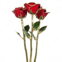 3 Past, Present, Future 17" 24k Gold Trimmed Roses