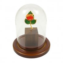 24k Gold Mini Enchanted Rose in Glass Dome