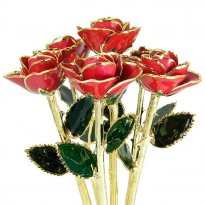 24k Gold Trimmed Roses: Half Dozen 11" Rose Bouquet