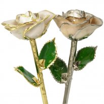 June Birthday Gift: Pearl Preserved Rose