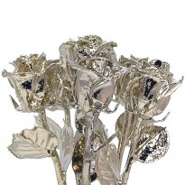Platinum Dipped Roses: Half Dozen 11" Rose Bouquet
