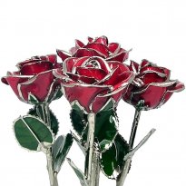 Platinum Trimmed Roses: Half Dozen 11" Rose Bouquet