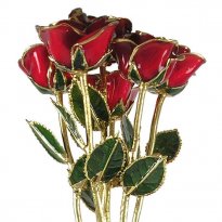 24k Gold Trimmed Roses: Half Dozen 17" Rose Bouquet