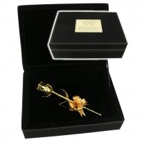 8" Preserved Rose in Personalized Memorial Case