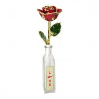 11" Preserved Rose with Personalized Message in a Bottle