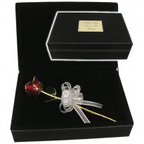 11" Gold Trimmed Rose in Personalized Leatherette Case