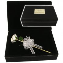 11" Trimmed Preserved Rose in Personalized Memorial Case