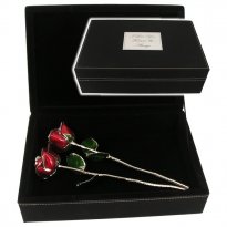 Two 11" Platinum Trimmed Roses in Personalized Case