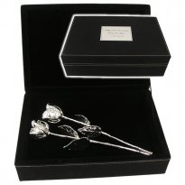 Two 11" All Silver Roses in 25th Anniversary Case