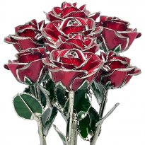 Silver Trimmed Roses: 1 Dozen 11" Rose Bouquet
