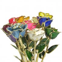 24k Gold Trimmed Roses: 11"  Multi-color 12 Rose Bouquet