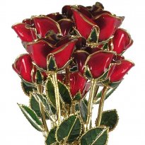 24k Gold Trimmed Roses: 1 Dozen 17" Rose Bouquet