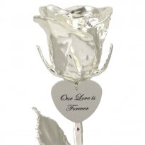 14" Personalized Silver Dipped Rose