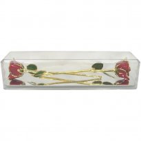 1st Anniversary Gift: 2 Gold Trim Roses in Museum Case