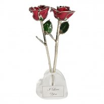 Two 11" Platinum Roses in 20th Anniversary Heart Vase