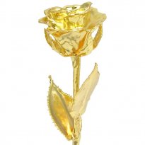24k Gold Rose: 8" Real Dipped Rose