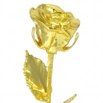14" Real Gold Dipped Rose