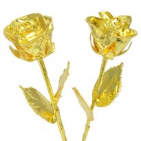 His and Her 14" 24k Gold Dipped Roses