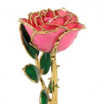 24k Gold Trimmed Rose: 8" Pink Rose