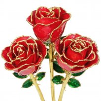 3 Past, Present, Future 8" 24k Gold Trimmed Roses