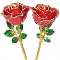 His and Her 8" 24k Gold Trim Roses