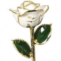 Personalized Preserved Rose: Will You Marry Me?