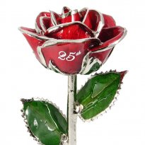 Personalized Rose 25th Anniversary Gift