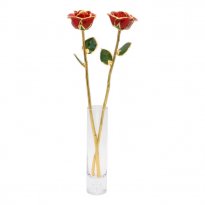 2 Anniversary 17" 24k Gold Trimmed Roses in Vase