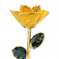 1st Anniversary Gift: Personalized Yellow Rose