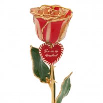 Personalized 24k Gold Christmas Candy Cane Rose Gift