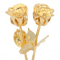 His and Her 8" 24k Gold Dipped Roses