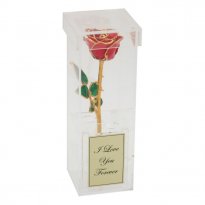 8" Gold Trimmed Rose in Personalized Anniversary Case