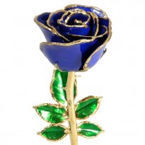 24k Gold Trimmed Rose: 8" Blue Rose