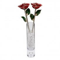 Two 11" Silver Trim Roses in Galaxy Vase: 25th Anniversary Gift