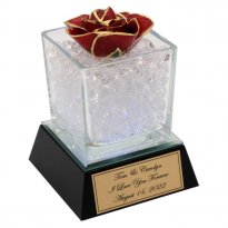 Personalized Glowing Preserved Rose Bloom