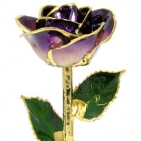 11" 24k Gold Trimmed Purple / Cream Rose