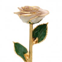 11" 24k Gold Trimmed Pearl White Sparkle Rose