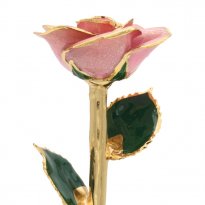 11" 24k Gold Trimmed Pink Sparkle Rose