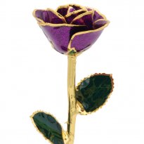11" 24k Gold Trimmed Purple Sparkle Rose