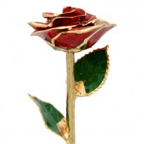 11" 24k Gold Trimmed Red Sparkle Rose