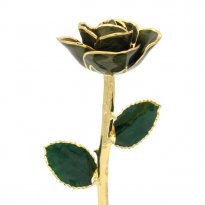 11" 24k Gold Trimmed Vintage Green Rose