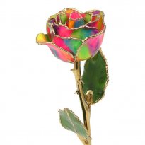 24k Gold Trimmed 11" Love's on Fire Rose Gift