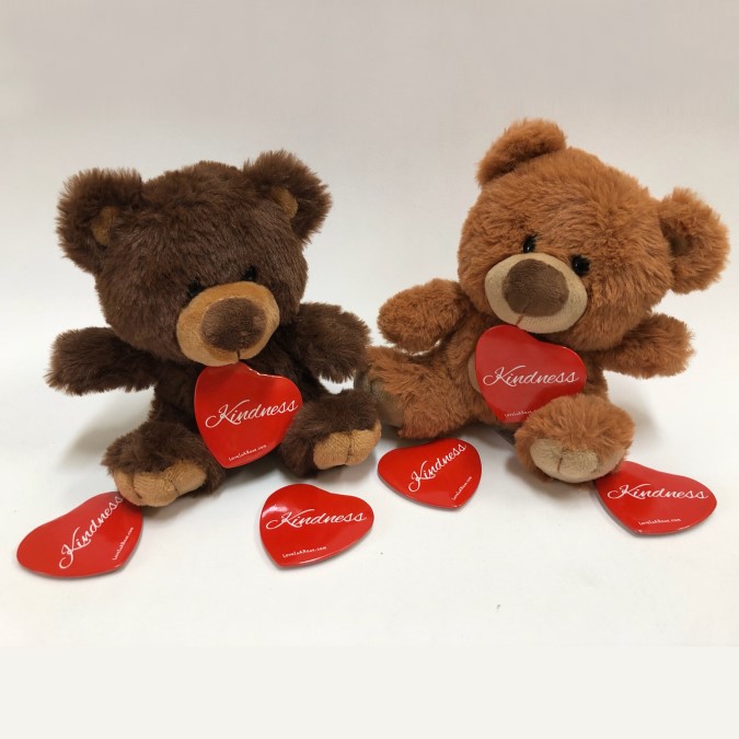 1 Kindness Bear with 1 Kindness Pin